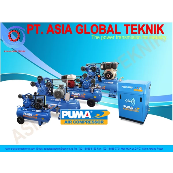 Electricity Puma Brand Air Compressor